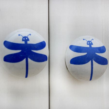 White Blue Butterfly Kids Knob