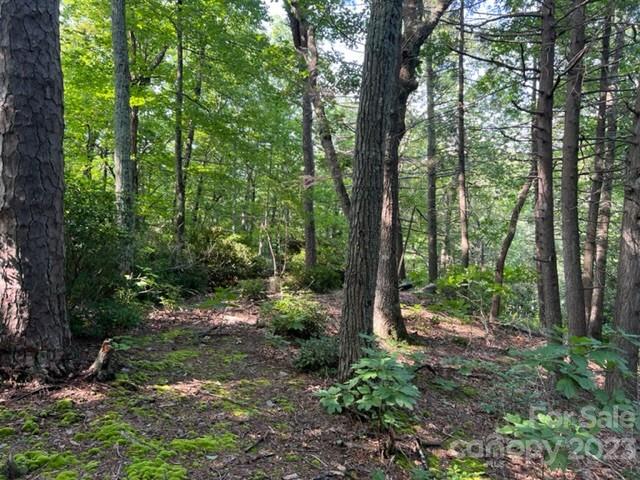 Hendersonville, NC Land for sale