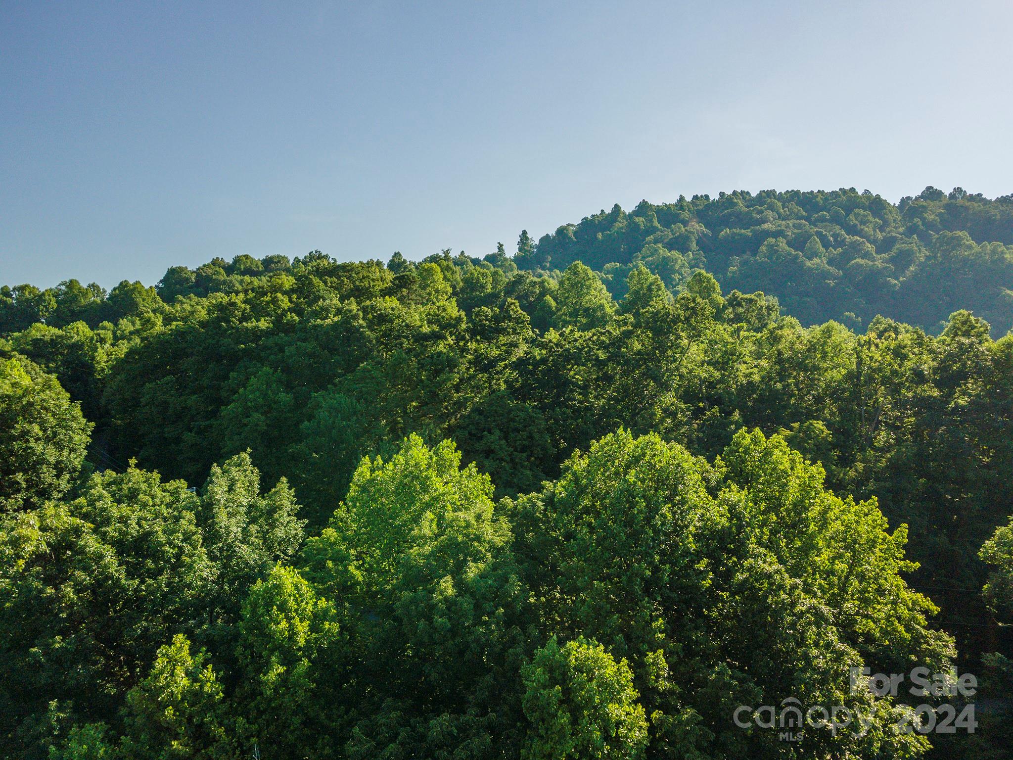 Old Fort, NC Land for sale