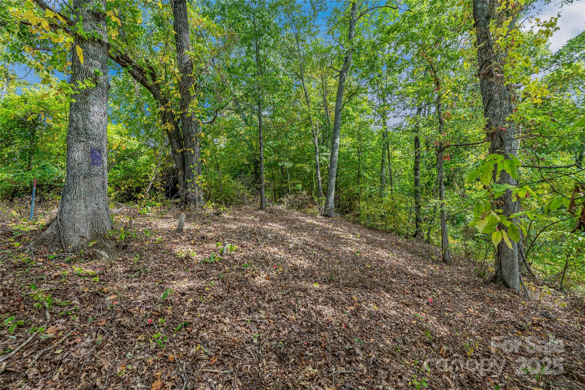 Weaverville, NC Land for sale