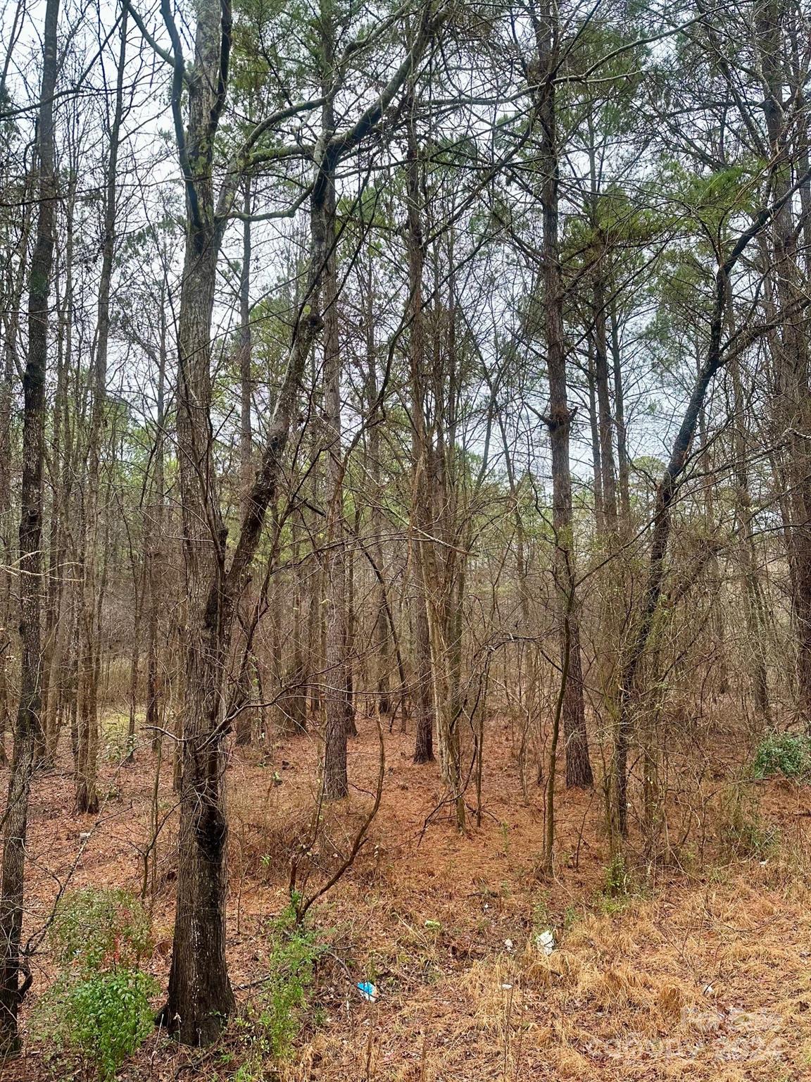 Chester, SC Land for sale