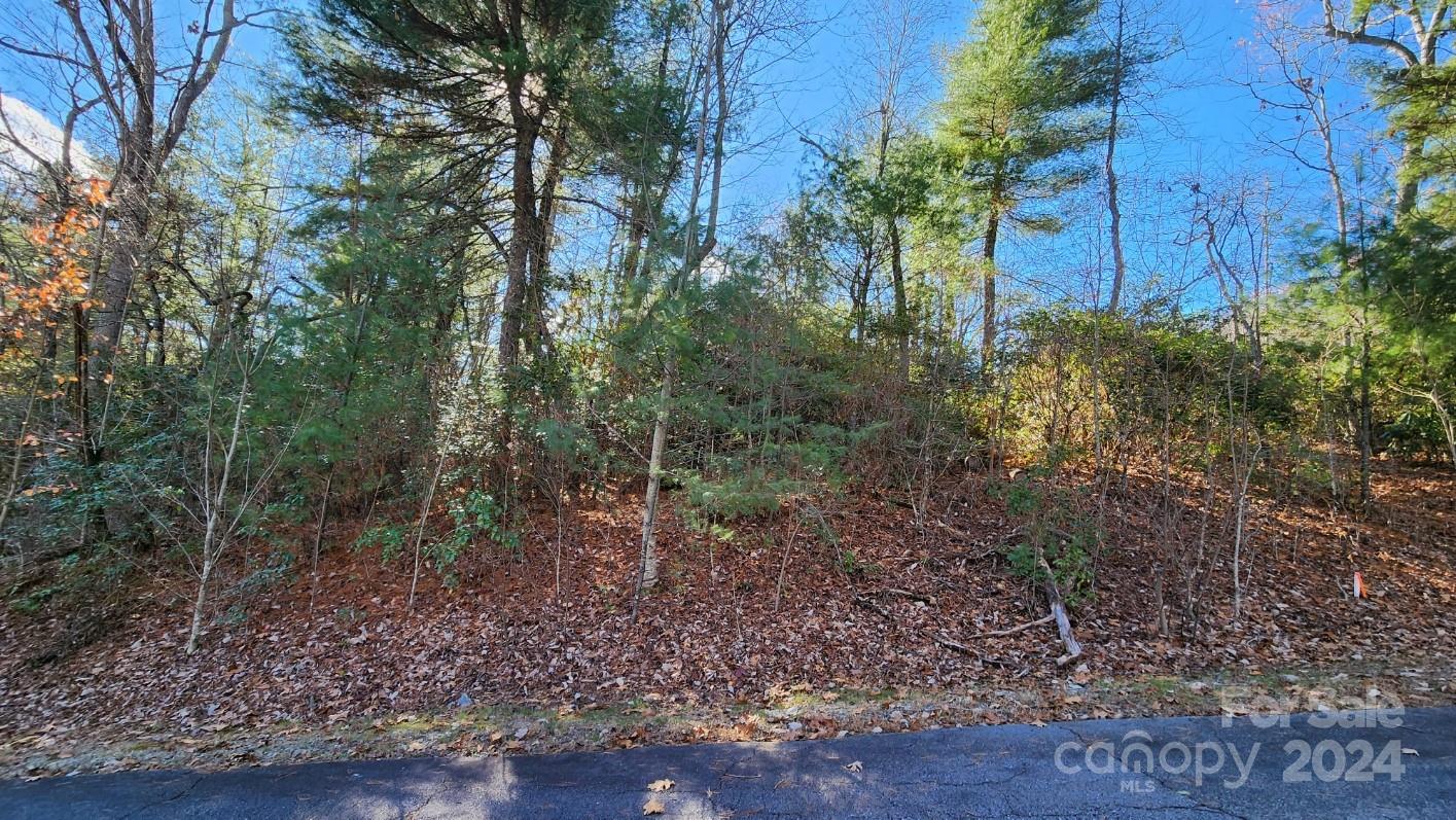 Hendersonville, NC Land for sale