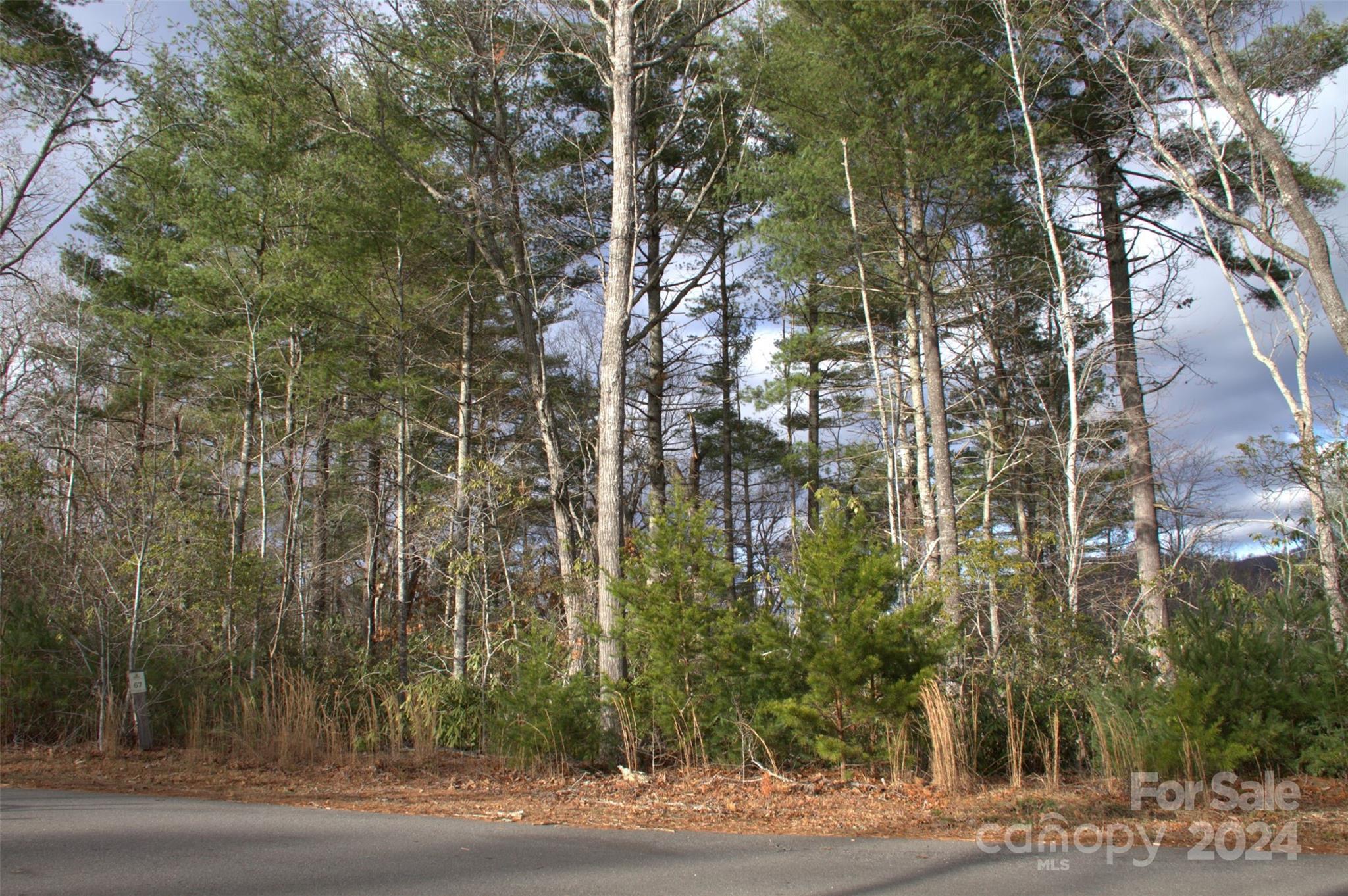 Asheville, NC Land for sale