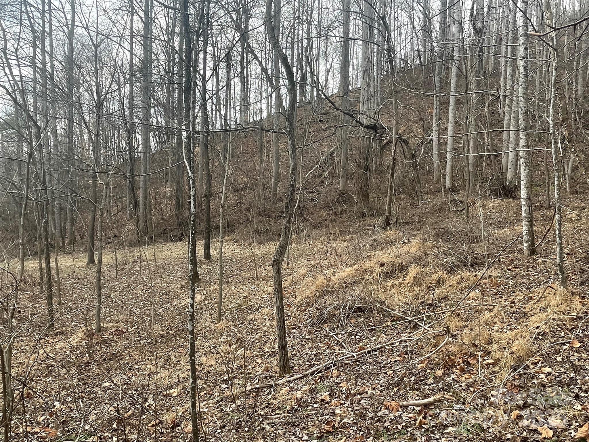 Barnardsville, NC Land for sale