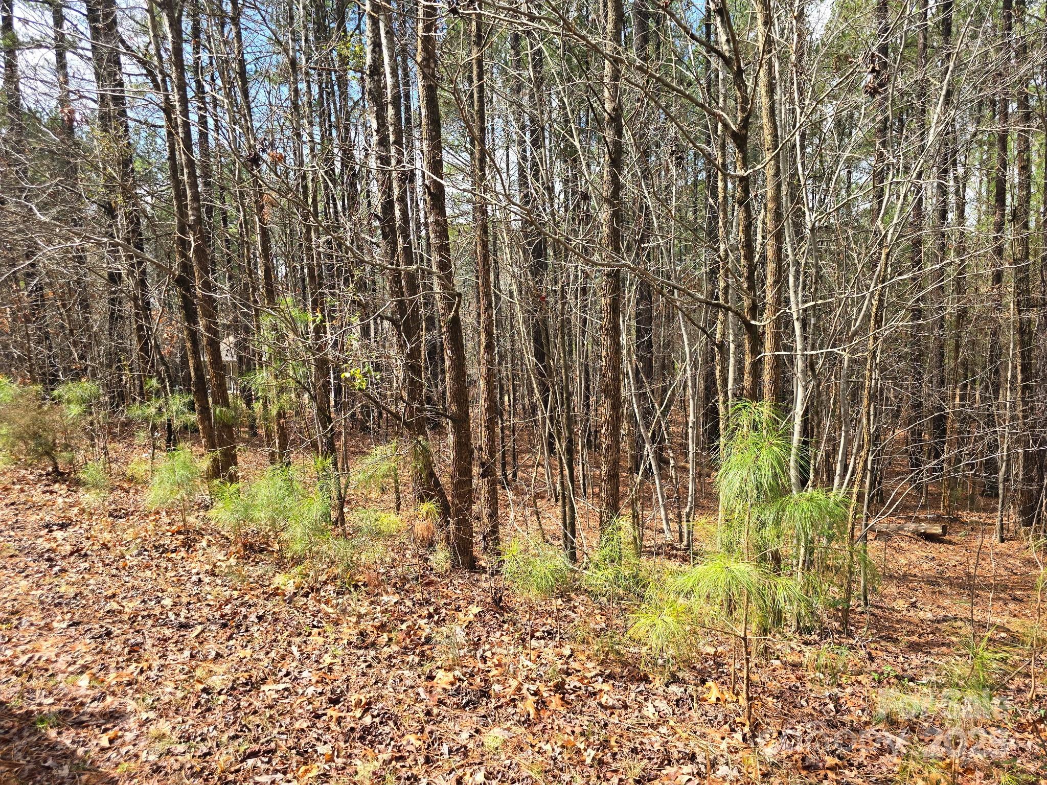 Denton, NC Land for sale