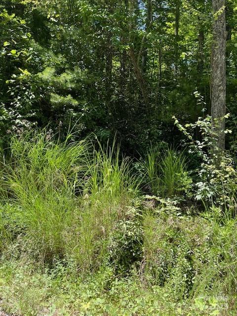 Hendersonville, NC Land for sale