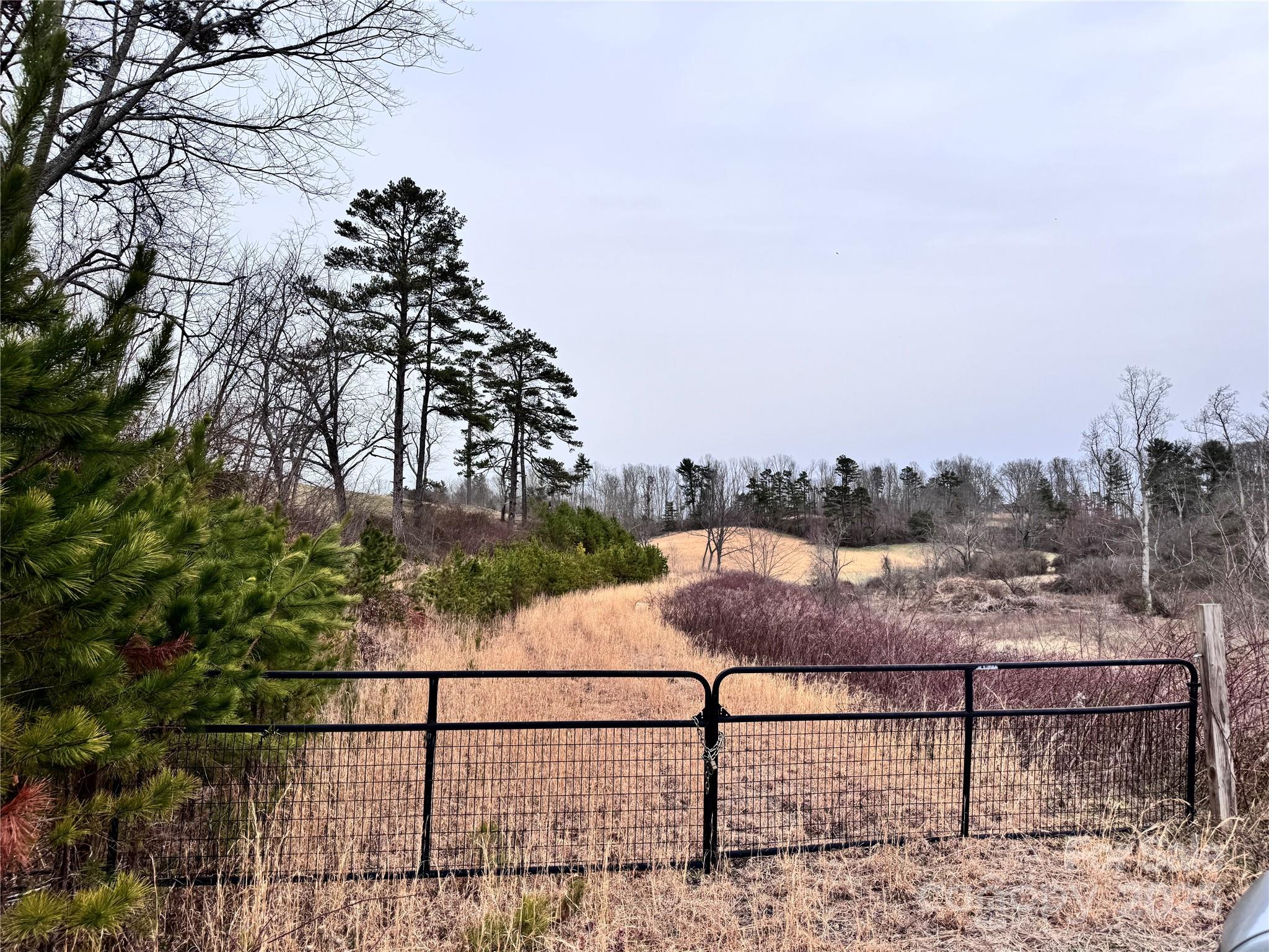 Asheville, NC Land for sale