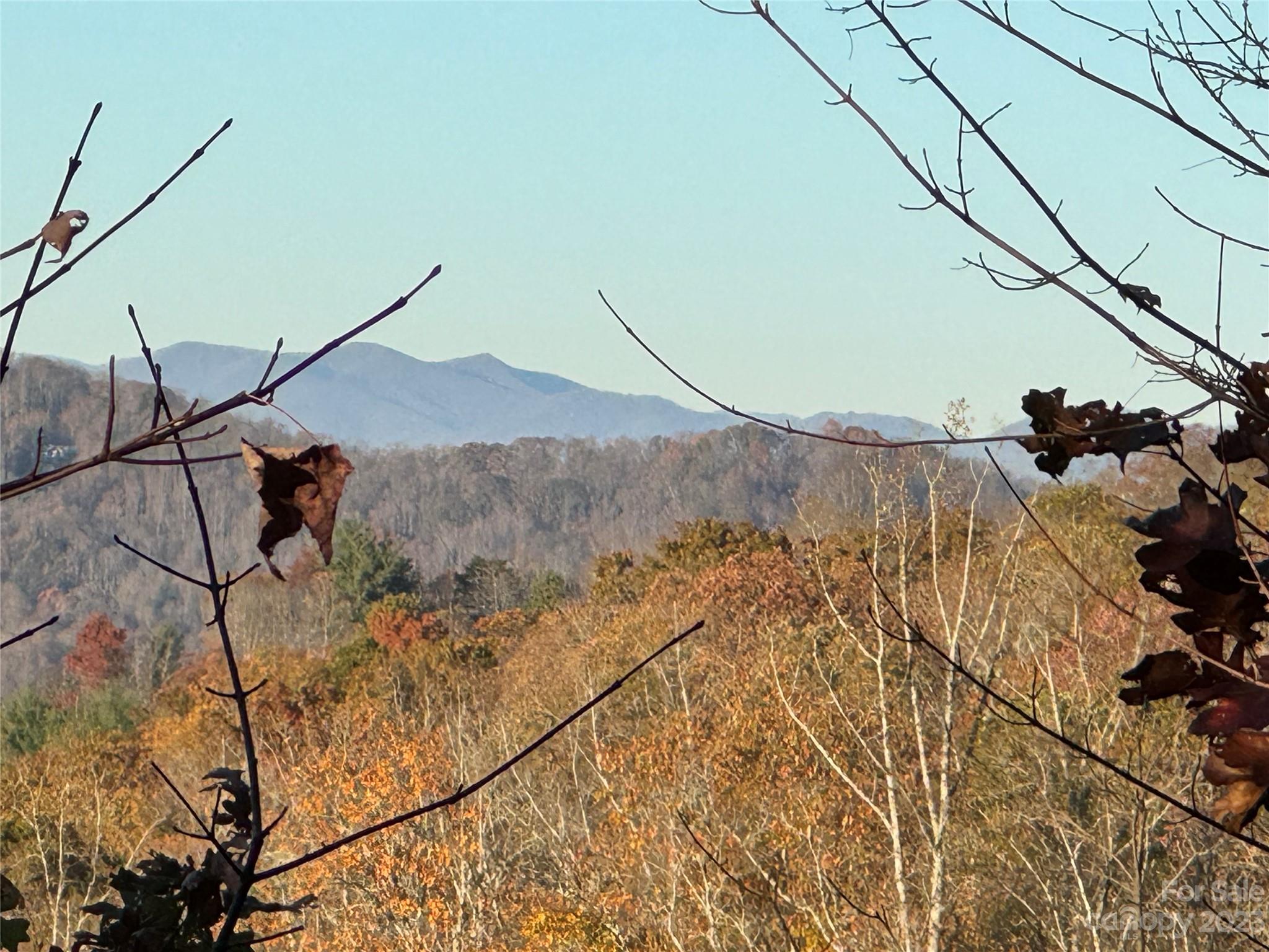 Fairview, NC Land for sale