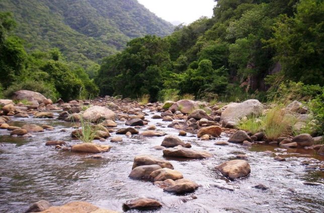 A stream flowing in Puliyancholai