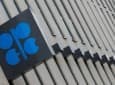 2025 is a Highly Unpredictable Year For OPEC+