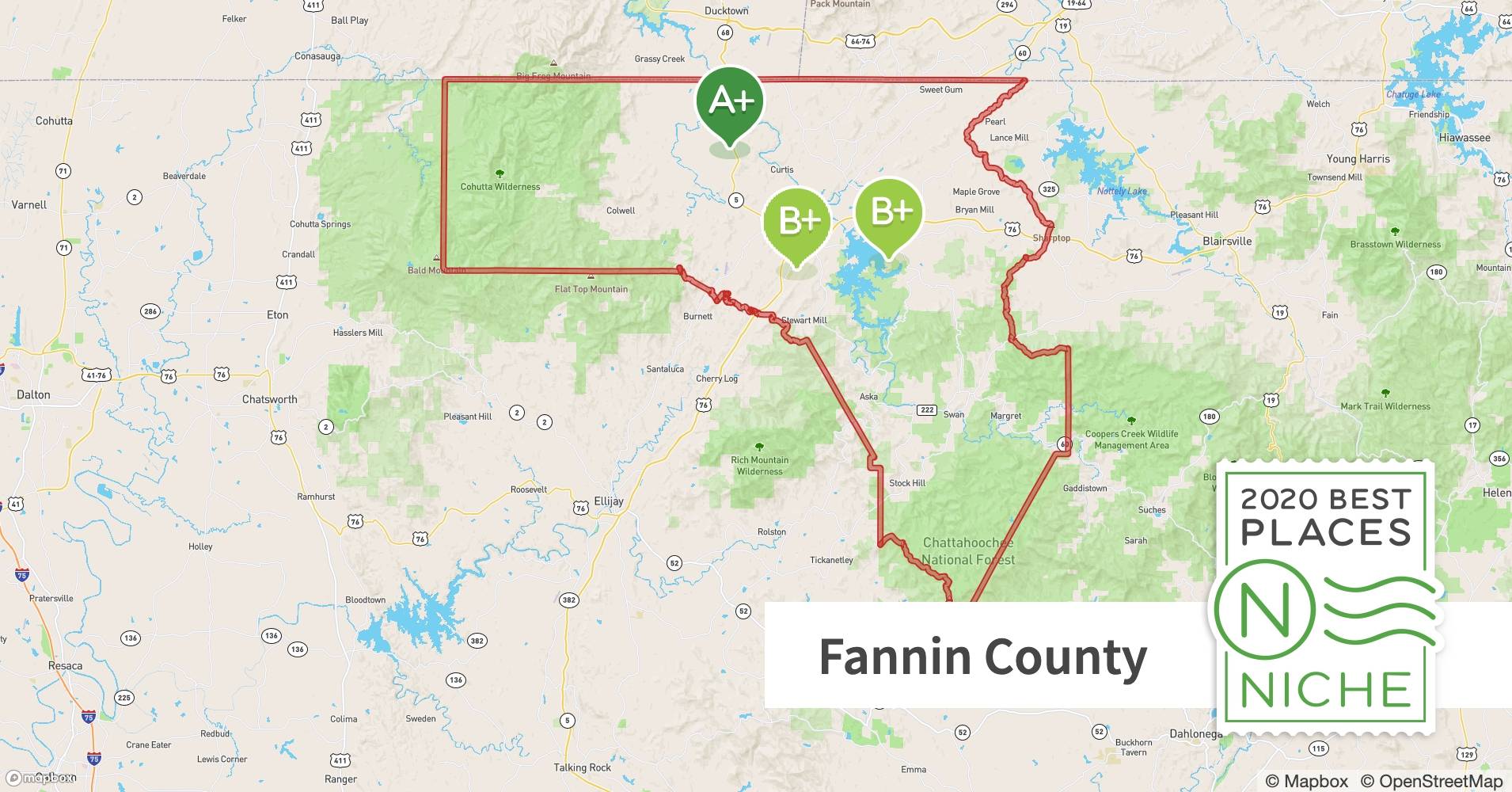 Fannin County Map