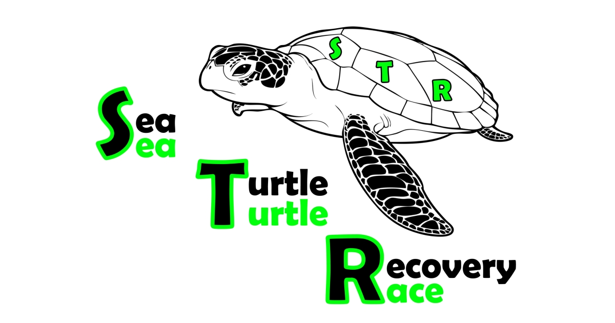 Virtual Sea Turtle Race Option: Participant Photos