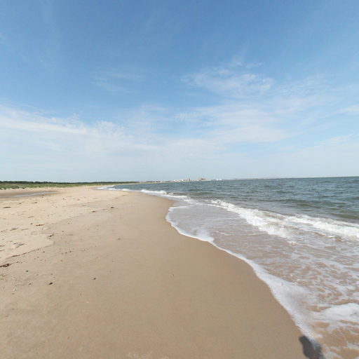 First Landing State Park Beach  scene image looking forward