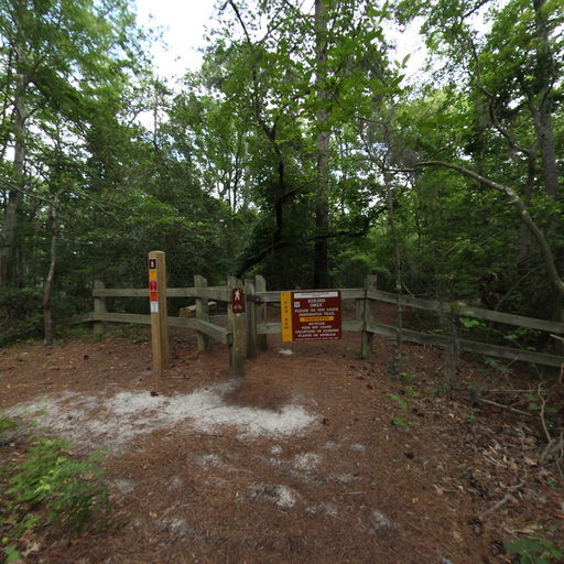 Fox Run Trail  scene image looking forward