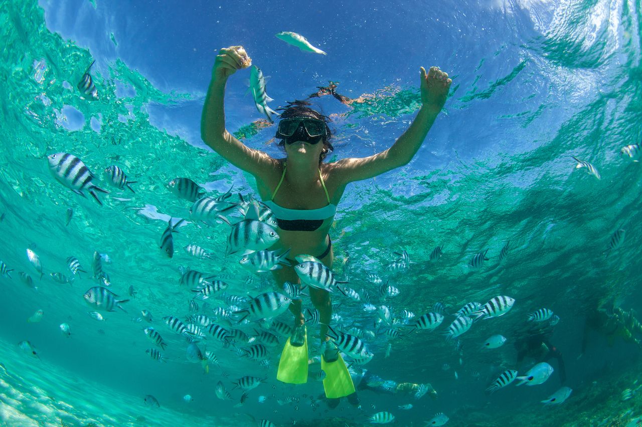 Person snorkeling in Mauritius