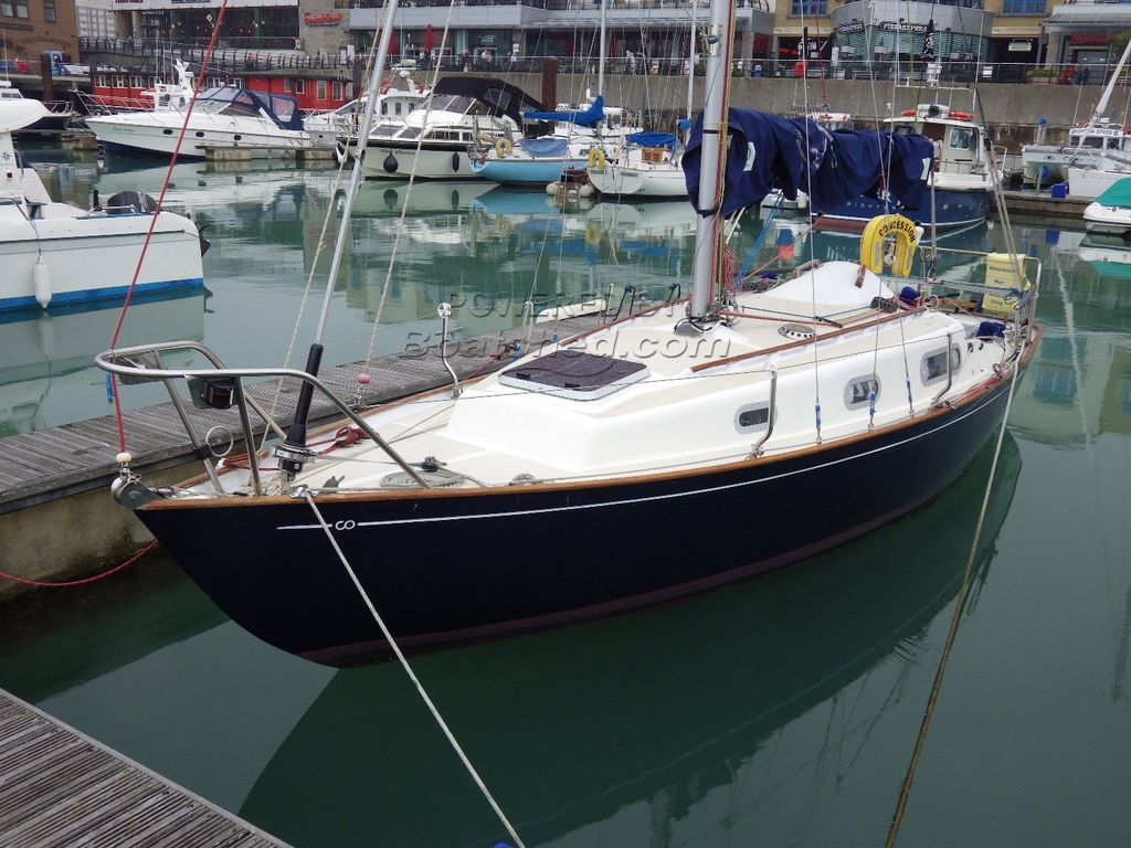 Contessa 26