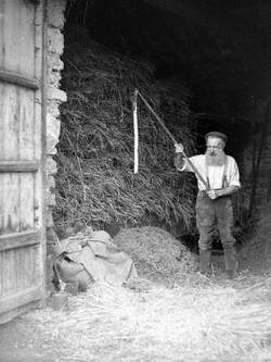 Threshing with a Flail