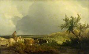 Landscape and Cattle