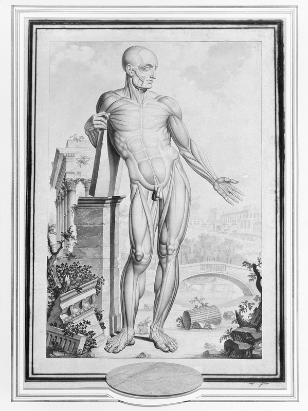 An Anatomical Figure (écorché) in a Landscape