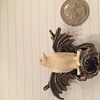 Ivory silver eagle hawk amethyst pendant