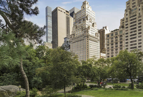 The Ritz Carlton New York, Central Park