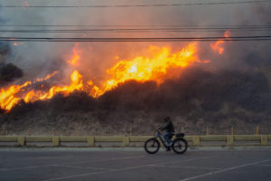 The Wider Image: 'The worst I've seen:' Reuters visuals journalists on the LA wildfires