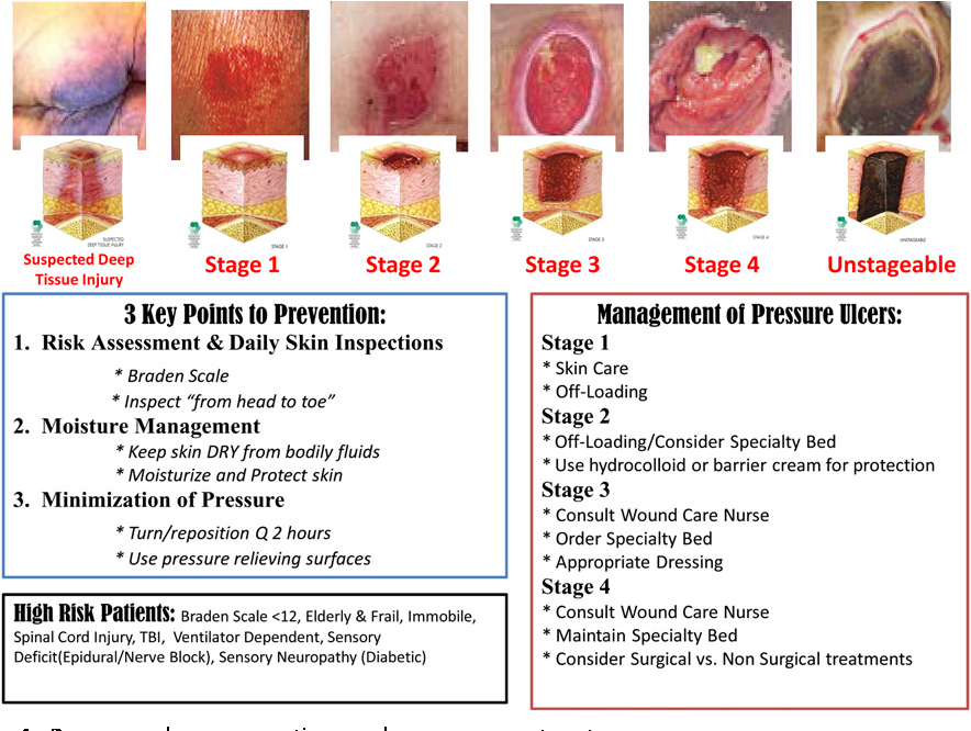 Assessments Of Pressure Ulcer Stage Wound Infection A - vrogue.co