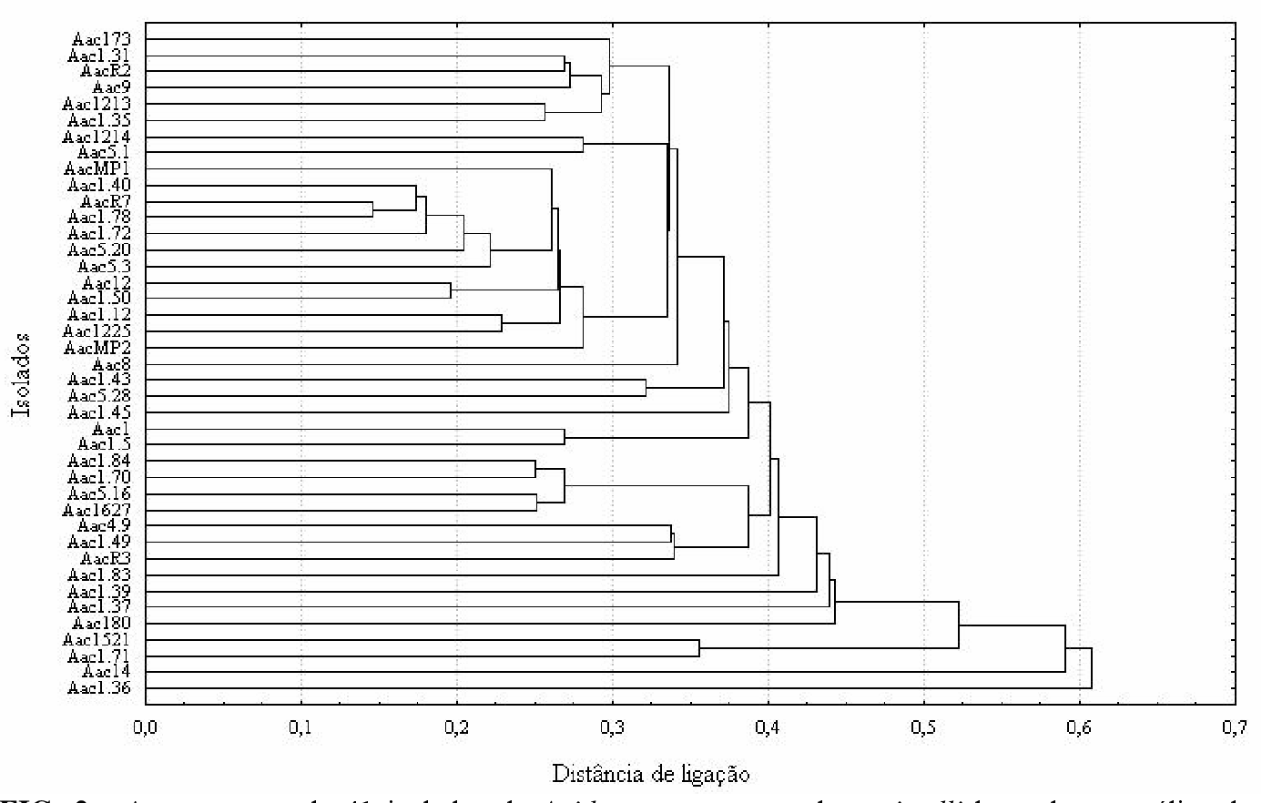 Figure 2 from Caracterização de isolados de Acidovorax avenae subsp ...