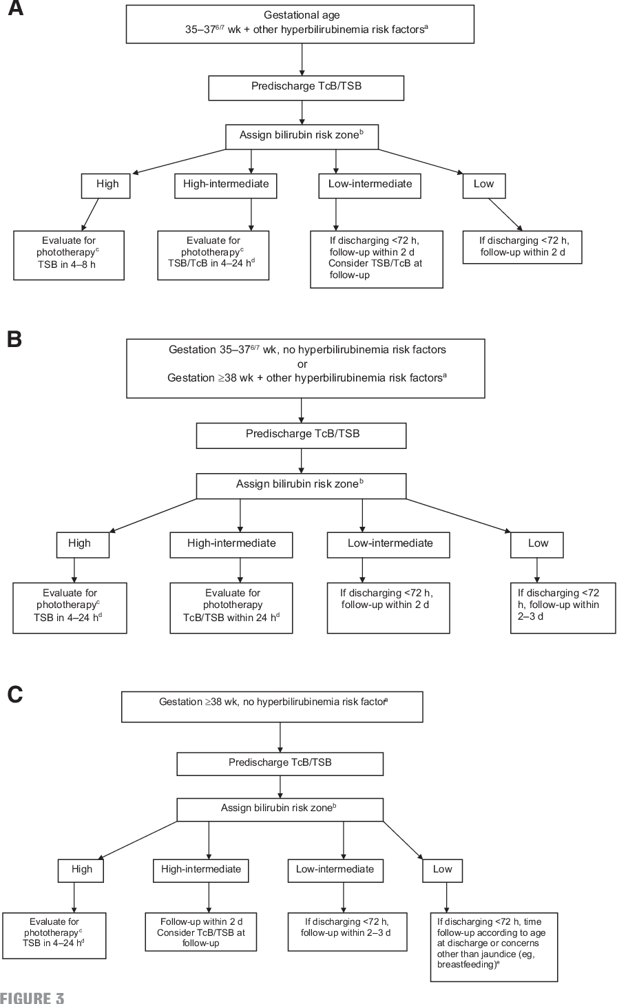 Aap Guidelines Hyperbilirubinemia Shop | cpshouston.net