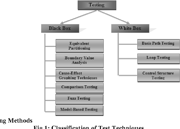 Black Box Testing Techniques