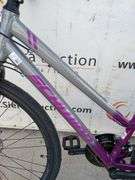 (1 Qty) Schwinn Mountain Bike (Purple, Grey)