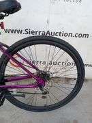 (1 Qty) Schwinn Mountain Bike (Purple, Grey)