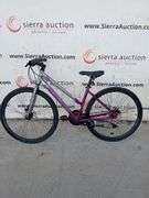 (1 Qty) Schwinn Mountain Bike (Purple, Grey)