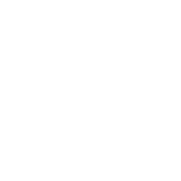 zev-taxi