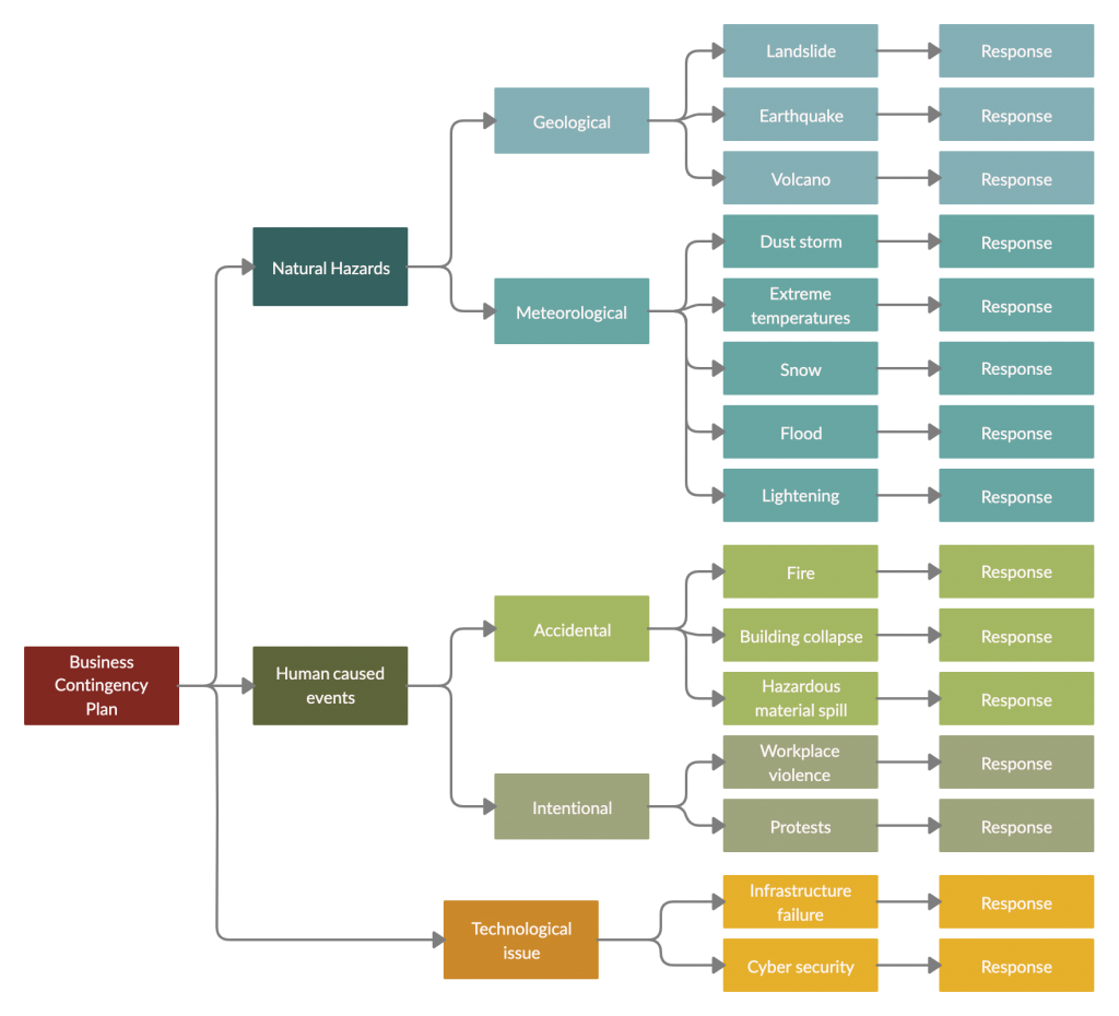 Business Contingency Plan Example