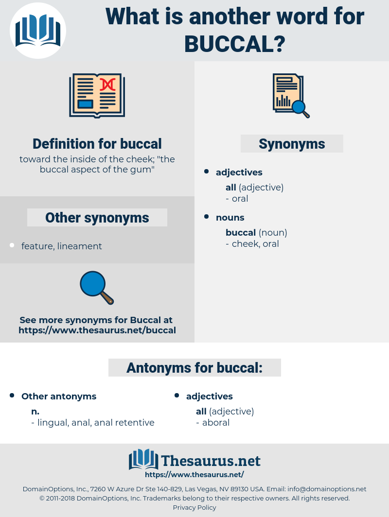 buccal, synonym buccal, another word for buccal, words like buccal, thesaurus buccal