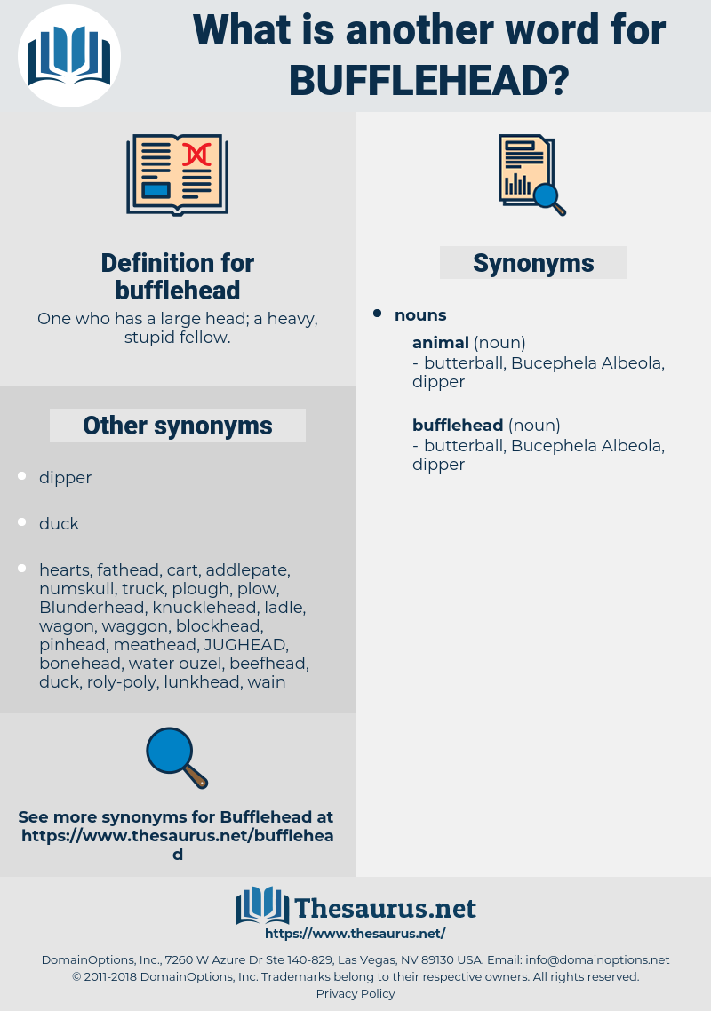 bufflehead, synonym bufflehead, another word for bufflehead, words like bufflehead, thesaurus bufflehead