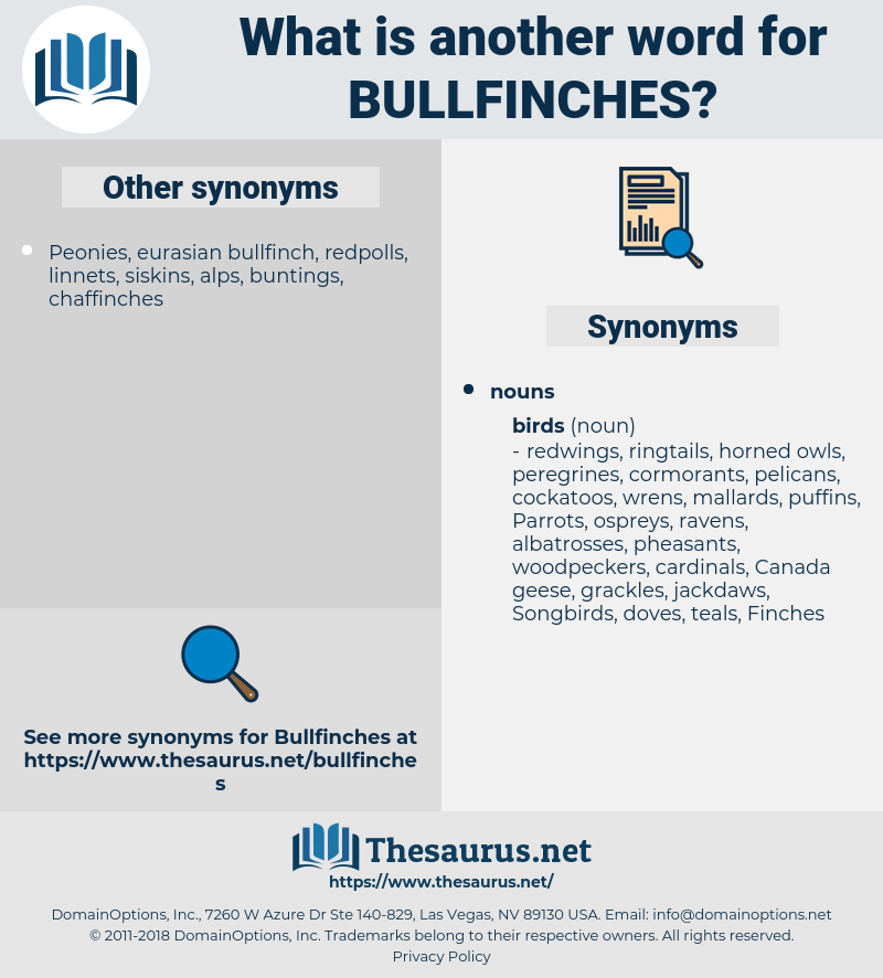 bullfinches, synonym bullfinches, another word for bullfinches, words like bullfinches, thesaurus bullfinches