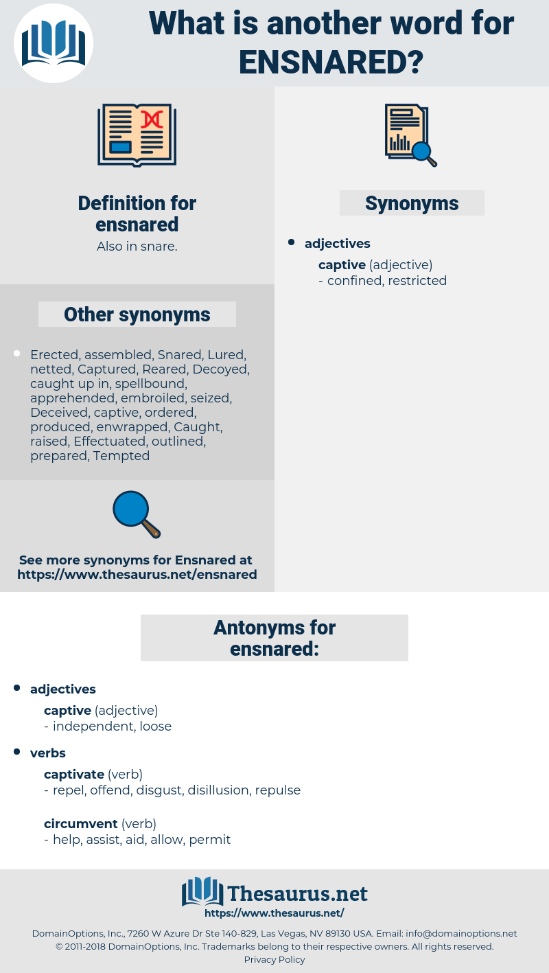 ensnared, synonym ensnared, another word for ensnared, words like ensnared, thesaurus ensnared