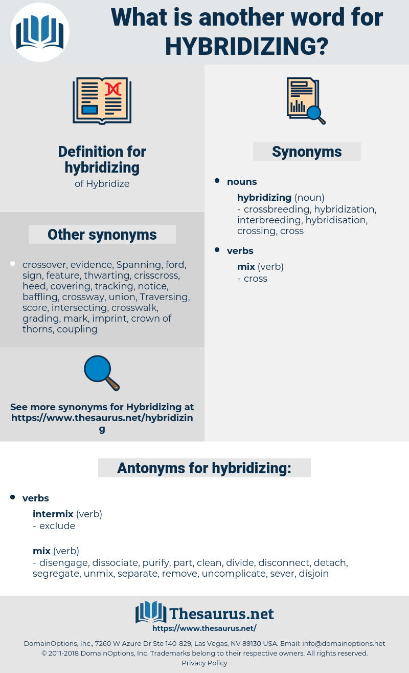 hybridizing, synonym hybridizing, another word for hybridizing, words like hybridizing, thesaurus hybridizing