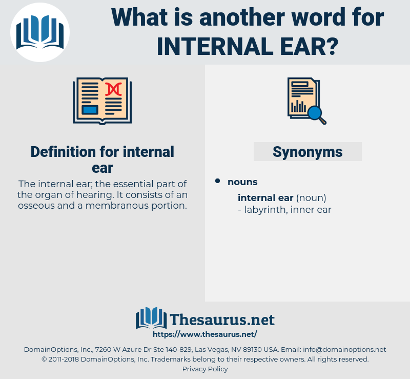 internal ear, synonym internal ear, another word for internal ear, words like internal ear, thesaurus internal ear