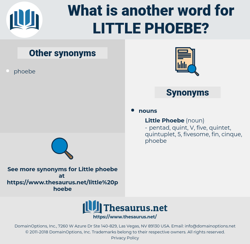 little phoebe, synonym little phoebe, another word for little phoebe, words like little phoebe, thesaurus little phoebe