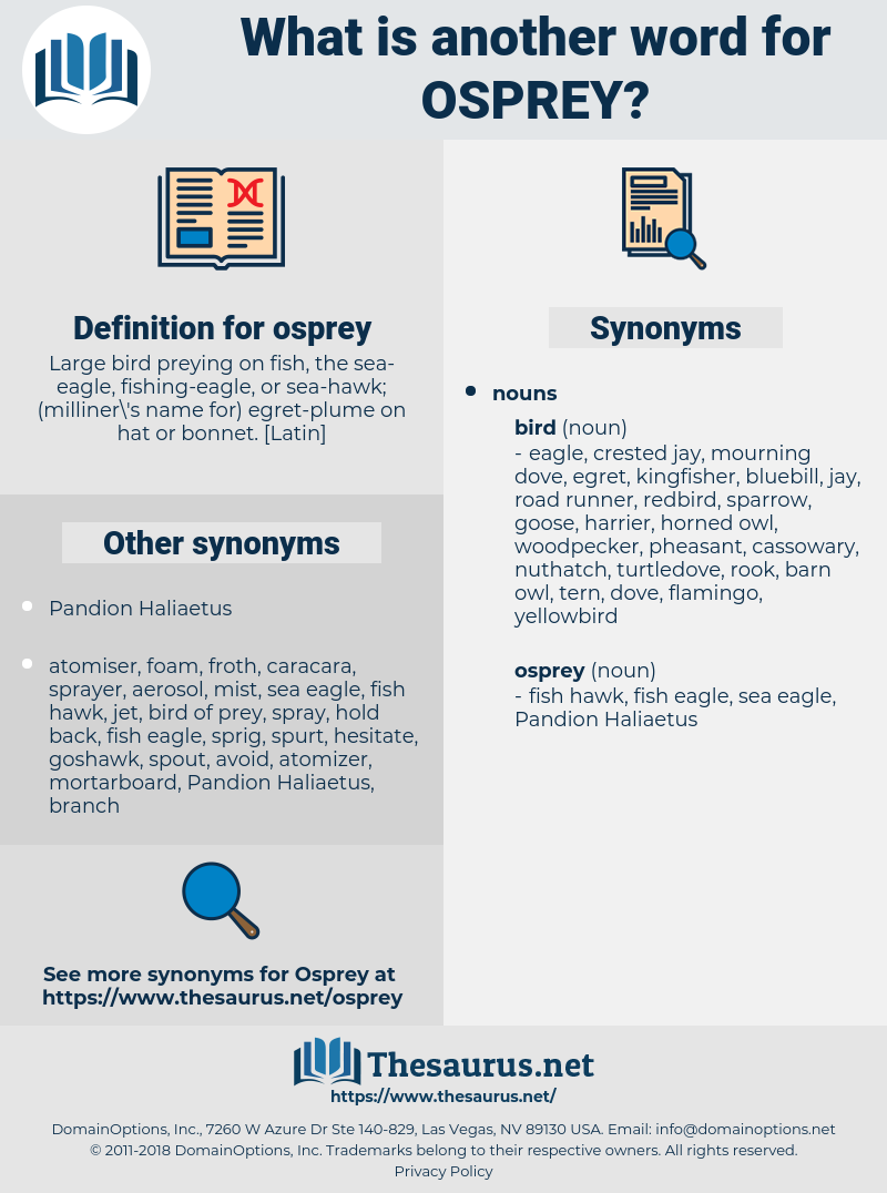 osprey, synonym osprey, another word for osprey, words like osprey, thesaurus osprey