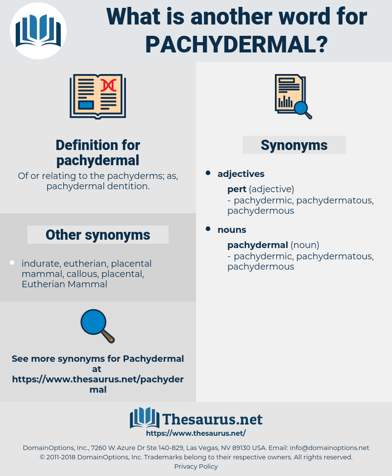 pachydermal, synonym pachydermal, another word for pachydermal, words like pachydermal, thesaurus pachydermal