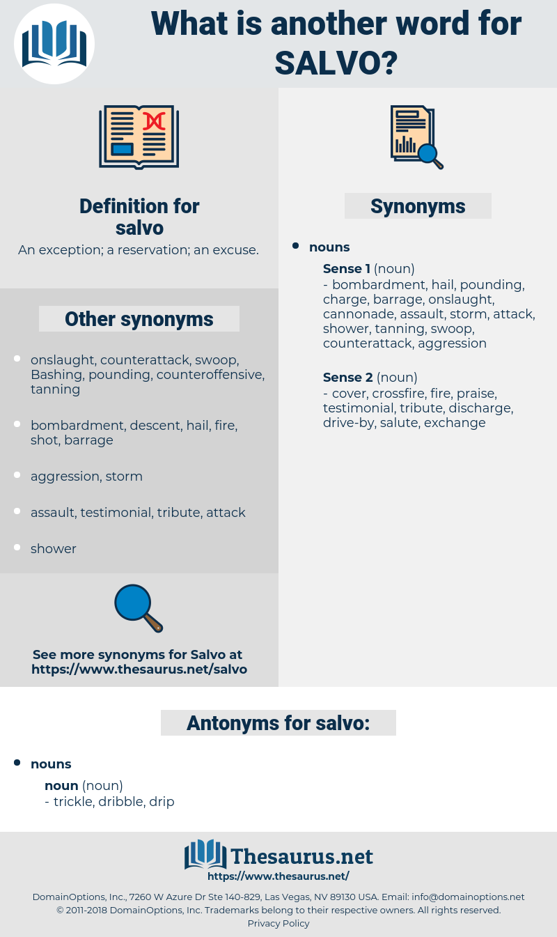 salvo, synonym salvo, another word for salvo, words like salvo, thesaurus salvo