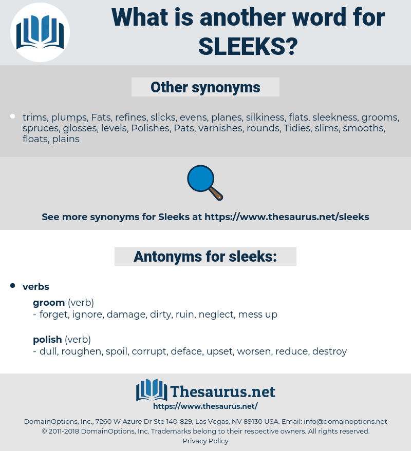 sleeks, synonym sleeks, another word for sleeks, words like sleeks, thesaurus sleeks