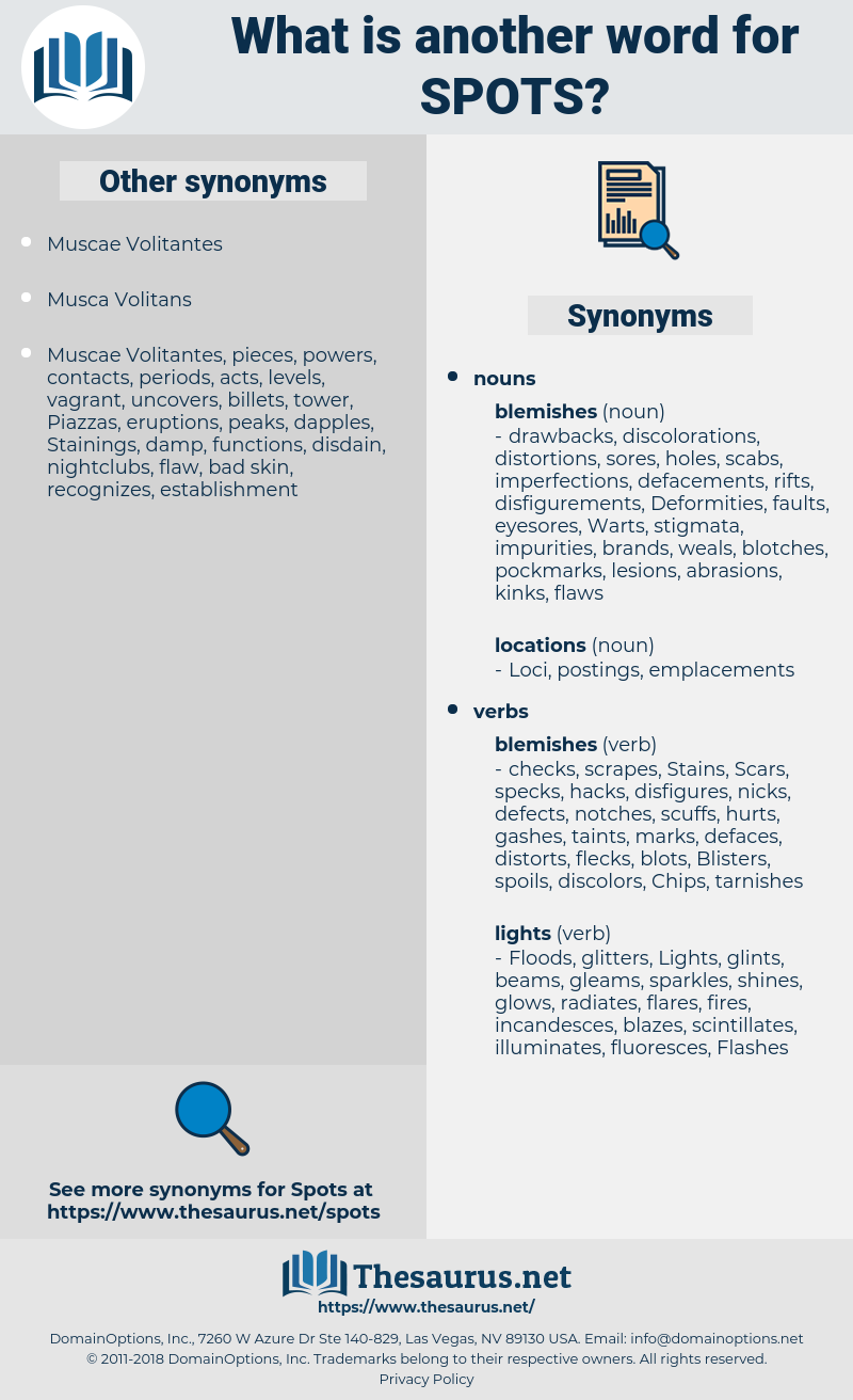 spots, synonym spots, another word for spots, words like spots, thesaurus spots