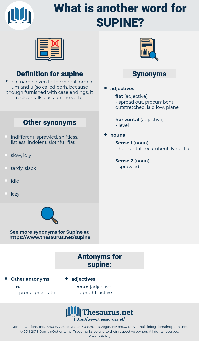 supine, synonym supine, another word for supine, words like supine, thesaurus supine