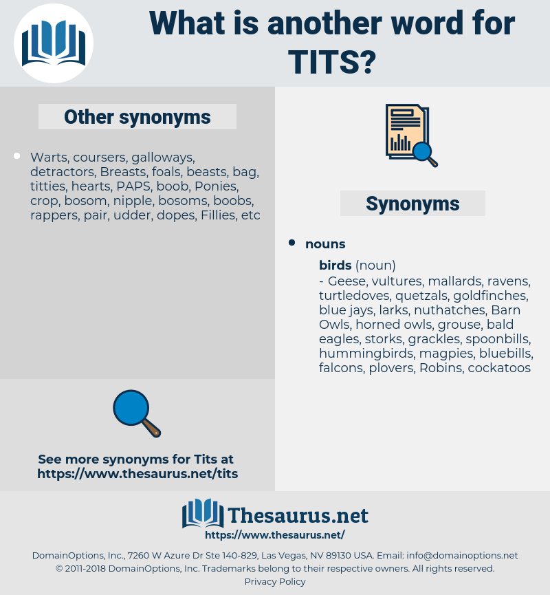 tits, synonym tits, another word for tits, words like tits, thesaurus tits