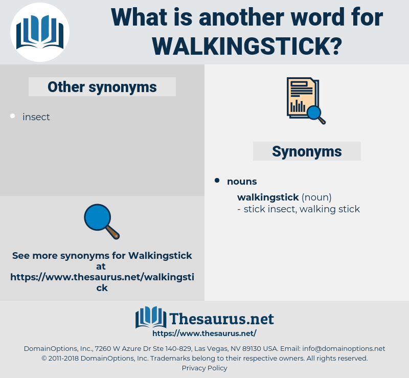 walkingstick, synonym walkingstick, another word for walkingstick, words like walkingstick, thesaurus walkingstick